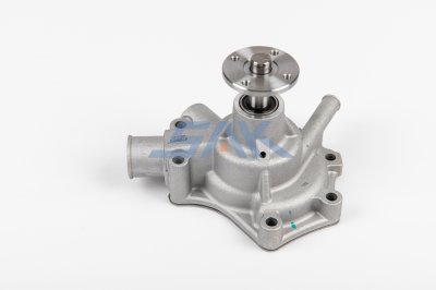 ปั้มน้ำ TT RN25, RT80 คอสั้น GMS