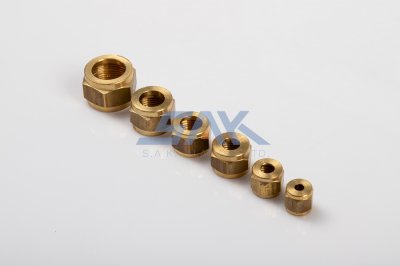 น็อตฝาครอบตาไก่ 3/8" SAK