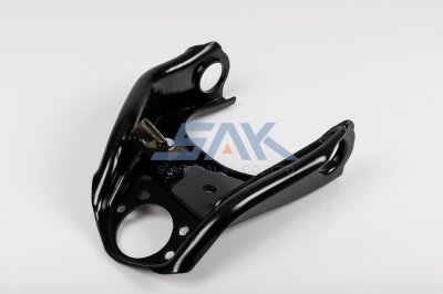 ปีกนกบน IS TFR-4WD, โรดิโอ L