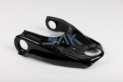 ปีกนกบน IS TFR L SAK