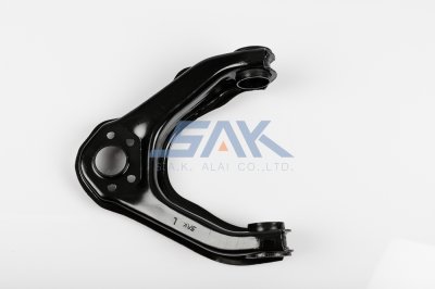 ปีกนกบน NS BIGM L SAK