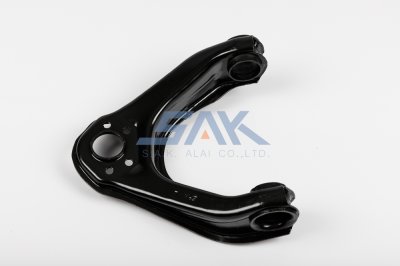 ปีกนกบน NS BIGM L SAK