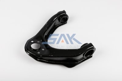 ปีกนกบน NS BIGM R SAK