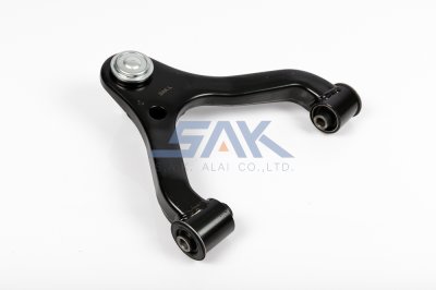 ปีกนกบน TT VIGO +ลูกหมาก L SAK