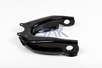 ปีกนกบน TT LN50, MTX, TIGER SAK