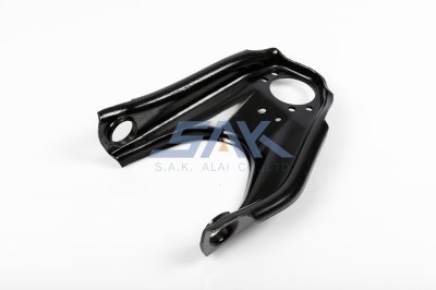 ปีกนกบน TT RN25 R