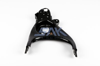 ปีกนกล่าง TT RN25 L