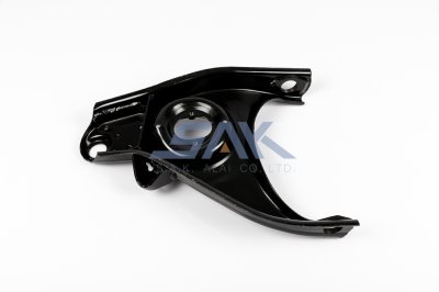 ปีกนกล่าง TT RN25 L