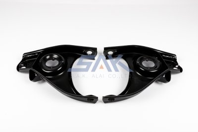 ปีกนกล่าง TT RN25 R