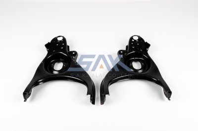 ปีกนกล่าง TT RN25 R