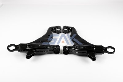 ปีกนกล่าง TT VIGO, REVO R