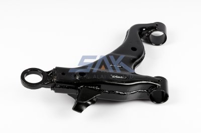 ปีกนกล่าง TT VIGO, REVO L