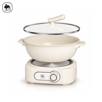 CAMEL 3L Multipurpose Electric Pot 1200W