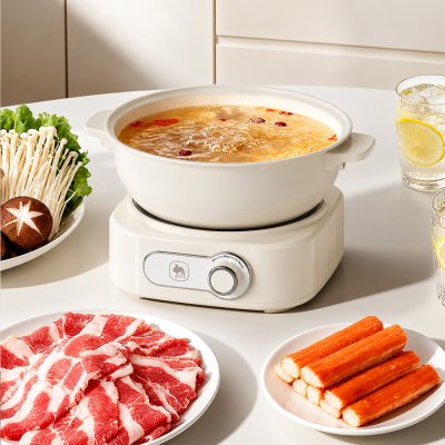 CAMEL 3L Multipurpose Electric Pot 1200W