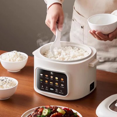 CAMEL 1.6L Multi-Function Electric Cooker