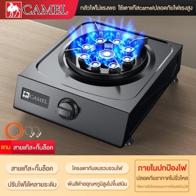 CAMEL Stainless Steel Gas Stove,  1-Burner Gas Stove