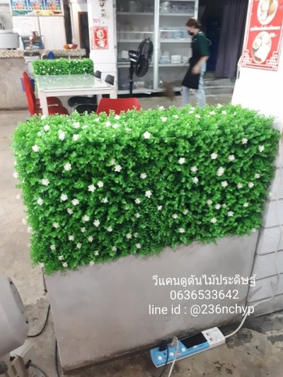 กำแพงหญ้าปลอม บล็อคหญ้าตีนเป็ด บล็อคหญ้าปลอม บล็อคหญ้าเทียม