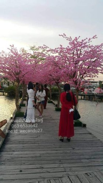 ต้นซากุระปลอม ต้นซากุระประดิษฐ์ ต้นซากุระขนาดใหญ่ ซากุระปลอม