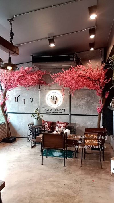 ต้นซากุระปลอม ต้นซากุระประดิษฐ์ ต้นซากุระขนาดใหญ่