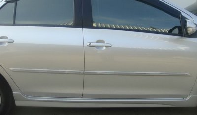 11 Side Moulding Guard.JPG