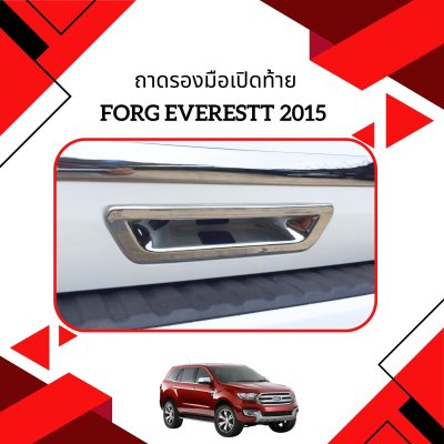 15 Tail Gate Handle Cover