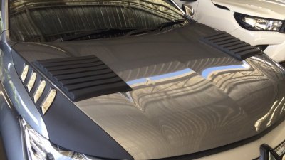 17 ช่องลมหลอกฝากระโปรงหน้า (2 ชิ้น)