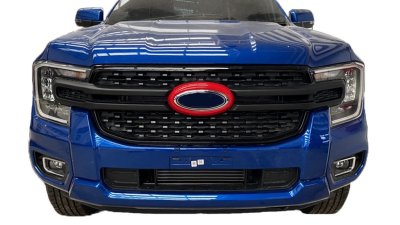 13 Front grill trim (XLT)