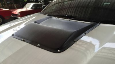 17 Scoop (V 2) with nut