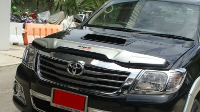 1 Bug Guard (Big Size)