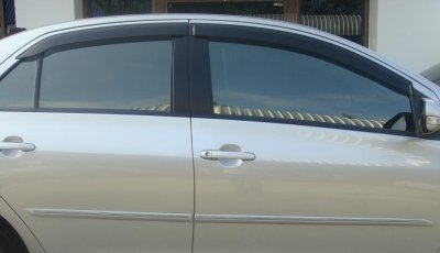 1 Weather Guard (OEM).JPG