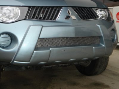 20 Front Bumper Guard (Year 2006-08) OEM