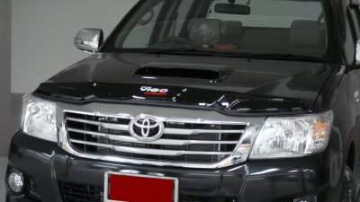 2 Bug Guard (Small Size)