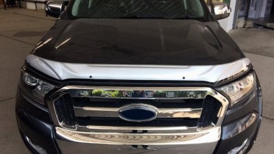 5 Bug Shield Guard (Small)