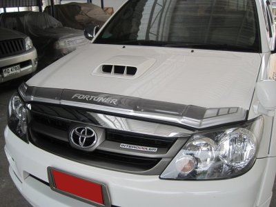 2 Bug Shield Guard (Small Size)