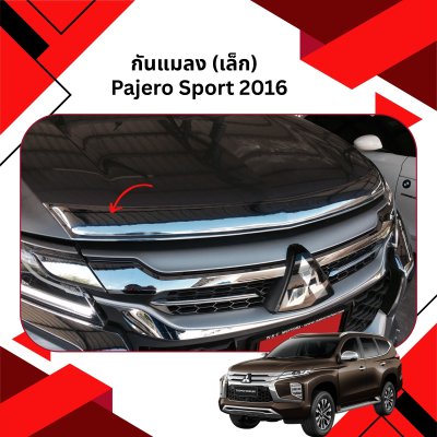 3 Bug Shield Guard Trim