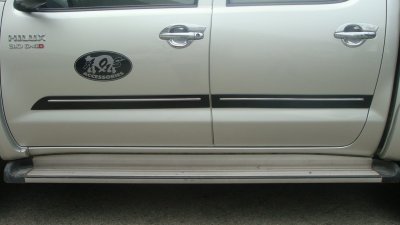 43 Side Moulding Guard