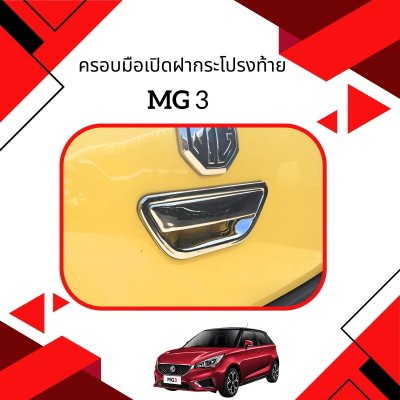 6 Tail Gate Handle Cover