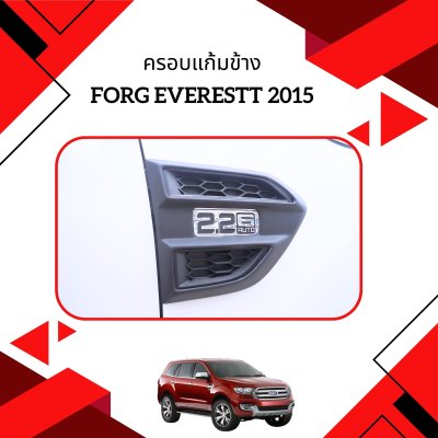 8 ครอบแก้มข้าง