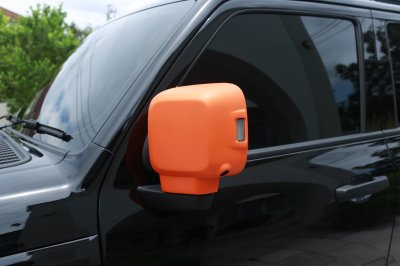 10 Side Mirror Cover Tank 300 2025