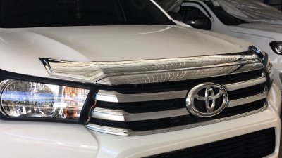 3 Bug Shield Guard Trim