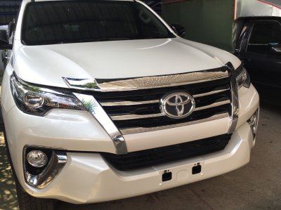 3.Bug Shield Guard Trim