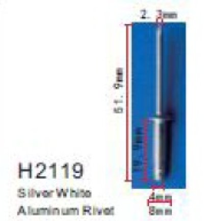 H2119