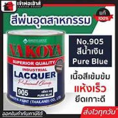 สีพื้น NAKOYA 905 ล.