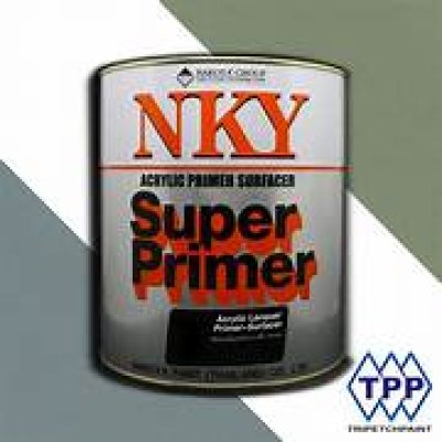 สีพื้น NKY NA730 ล.