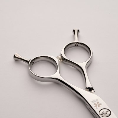 Sunrise 6.0นิ้ว Sunrise 6.0นิ้ว