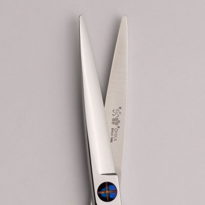 Myosotis 6.5นิ้ว