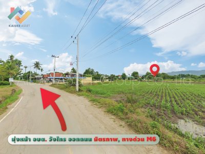 ที่ดิน วังไทร ปากช่อง ใกล้ เขาใหญ่ วังน้ำเขียว ราคาถูก