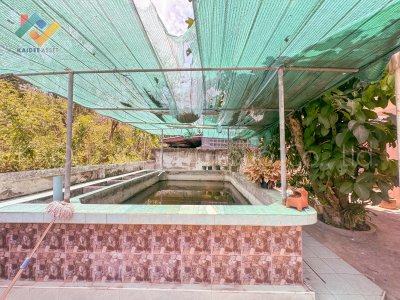 บ้านเดี่ยว พุทธมณฑลสาย 2 มณฑลวิลล์ ทวีวัฒนา บรมราชชนนี บ้านเดี่ยว พุทธมณฑลสาย 2 มณฑลวิลล์ ทวีวัฒนา บรมราชชนนี