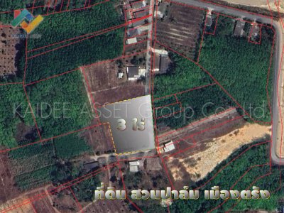 ที่ดิน โคกหล่อ เมืองตรัง ตรัง สวนปาล์ม ใกล้สนามบิน ราคาถูก ที่ดิน โคกหล่อ เมืองตรัง ตรัง สวนปาล์ม ใกล้สนามบิน ราคาถูก