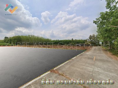 ที่ดิน โคกหล่อ เมืองตรัง ตรัง สวนปาล์ม ใกล้สนามบิน ราคาถูก ที่ดิน โคกหล่อ เมืองตรัง ตรัง สวนปาล์ม ใกล้สนามบิน ราคาถูก